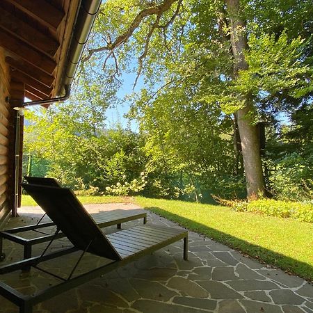 Huette Am Wald Villa Hof bei Salzburg Ngoại thất bức ảnh