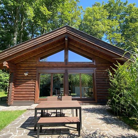 Huette Am Wald Villa Hof bei Salzburg Ngoại thất bức ảnh