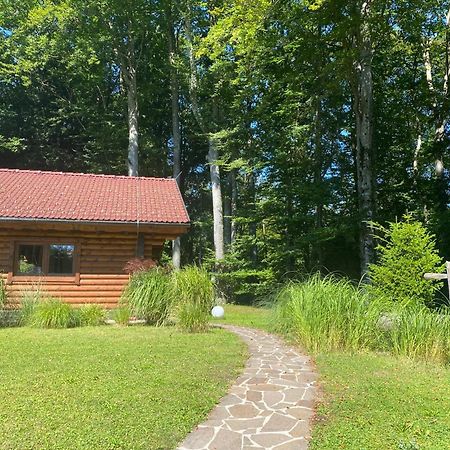 Huette Am Wald Villa Hof bei Salzburg Ngoại thất bức ảnh