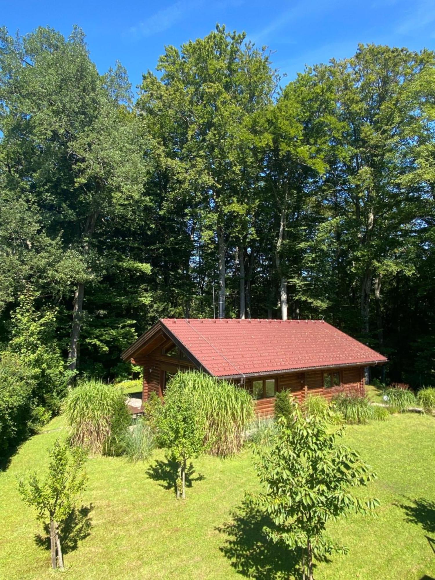 Huette Am Wald Villa Hof bei Salzburg Ngoại thất bức ảnh