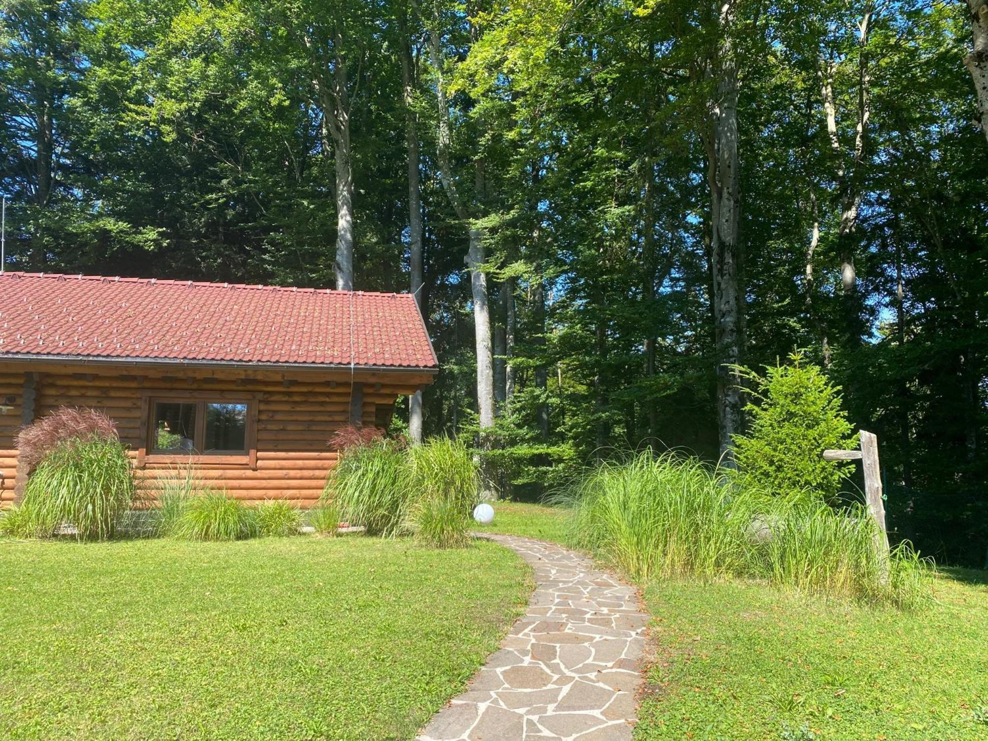Huette Am Wald Villa Hof bei Salzburg Ngoại thất bức ảnh