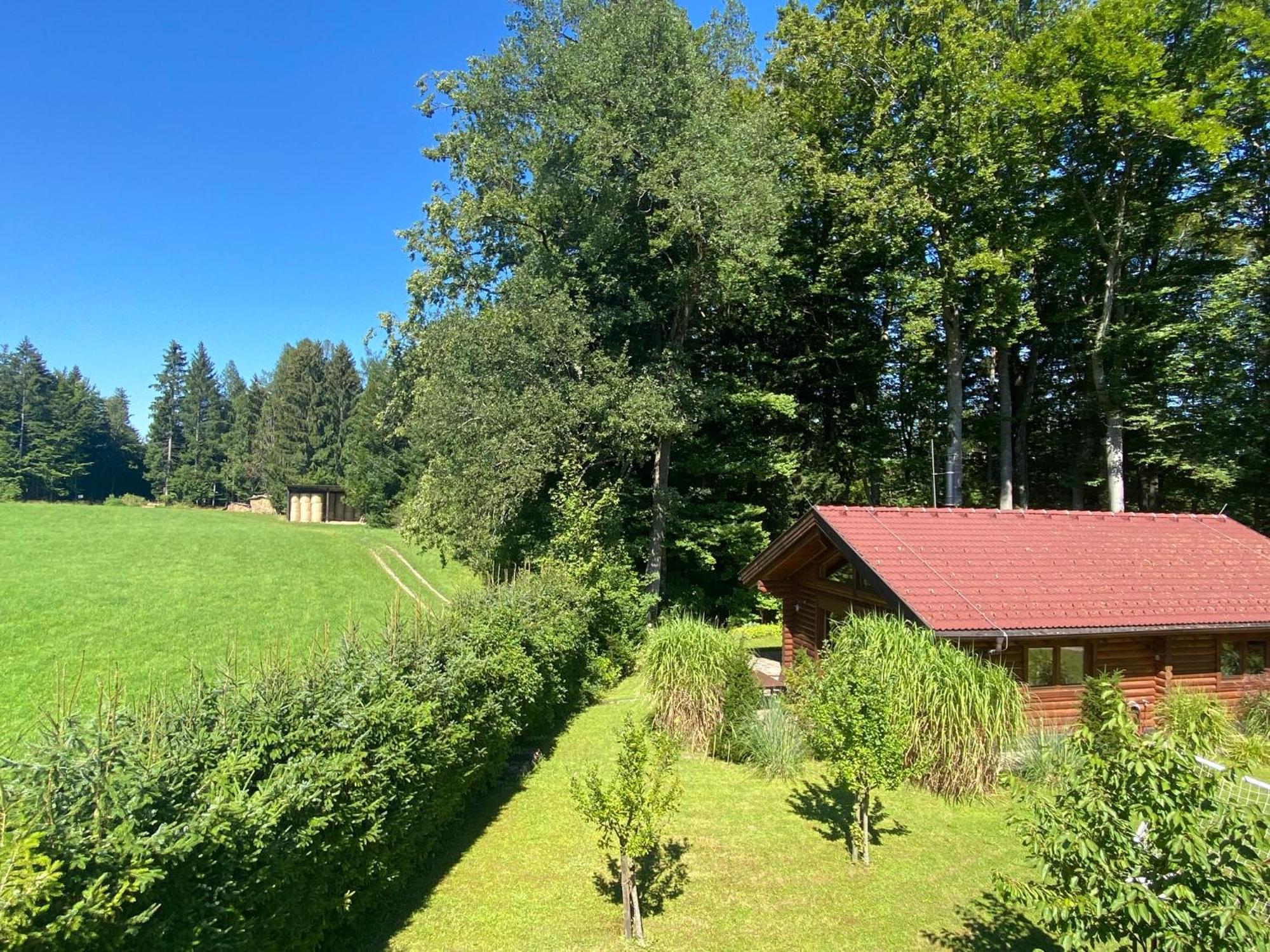 Huette Am Wald Villa Hof bei Salzburg Ngoại thất bức ảnh