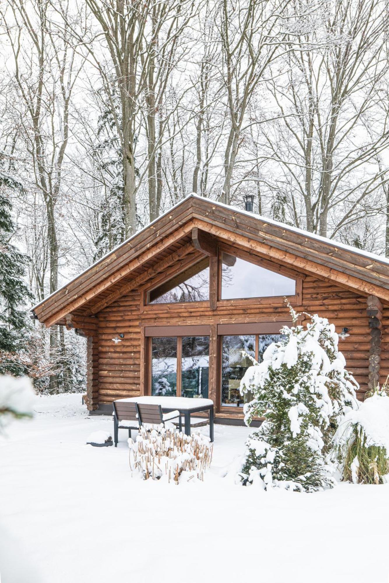 Huette Am Wald Villa Hof bei Salzburg Ngoại thất bức ảnh
